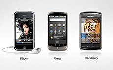 WordPress study on trends and high vibes